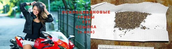 меф Майский