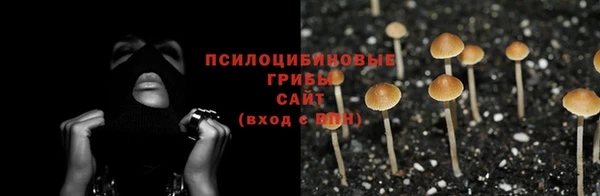PSILOCYBIN Магас