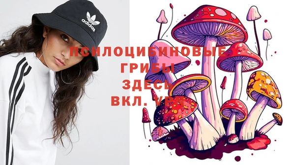 амф Магадан
