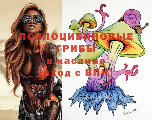 PSILOCYBIN Магас