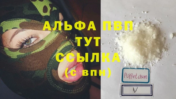 PSILOCYBIN Магас