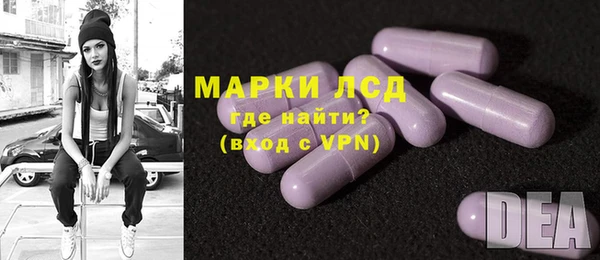PSILOCYBIN Магас