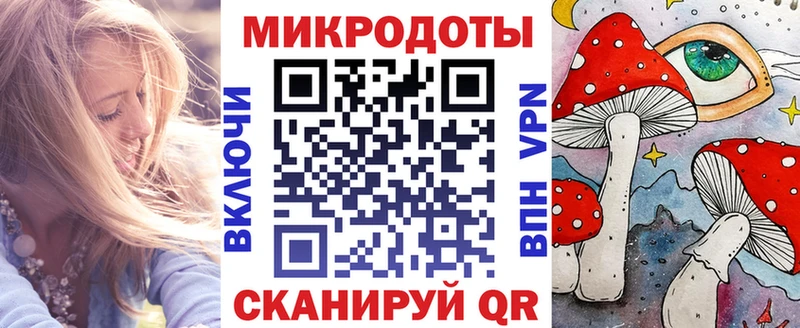 Псилоцибиновые грибы Psilocybe  Купить где  Холм 